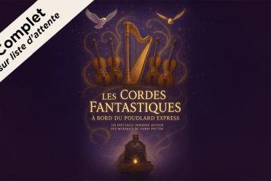 Poudlard Express - Complet