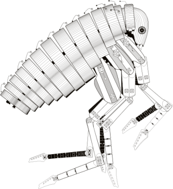 Puce - Agrandir l'image, fenêtre modale