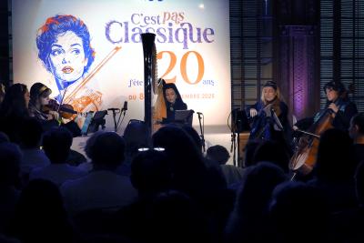 Les Cordes Fantastiques - A bord de Poudlard Express - Agrandir l'image 41 sur 88, fenêtre modale