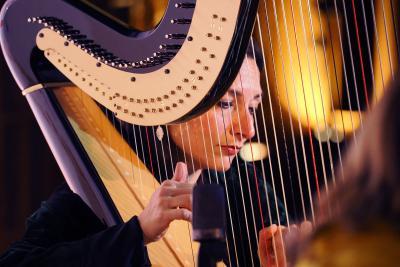 Les Cordes Fantastiques - A bord de Poudlard Express - Agrandir l'image 37 sur 88, fenêtre modale