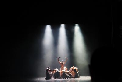 Compagnie Hervé Koubi - Agrandir l'image 45 sur 88, fenêtre modale