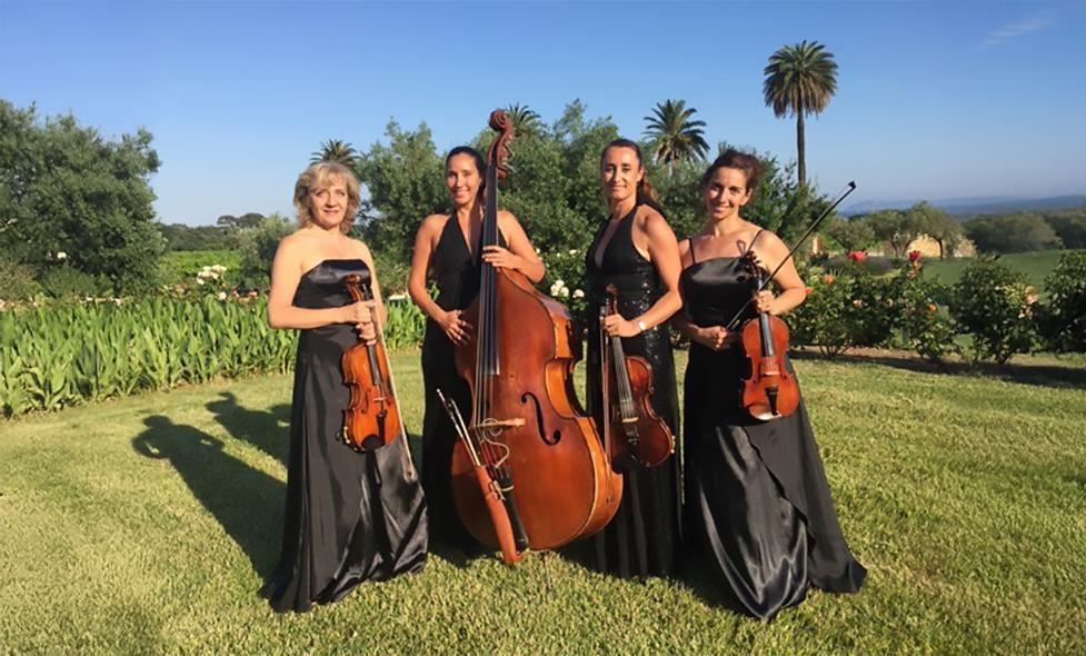 Violonissima - Agrandir l'image, fenêtre modale